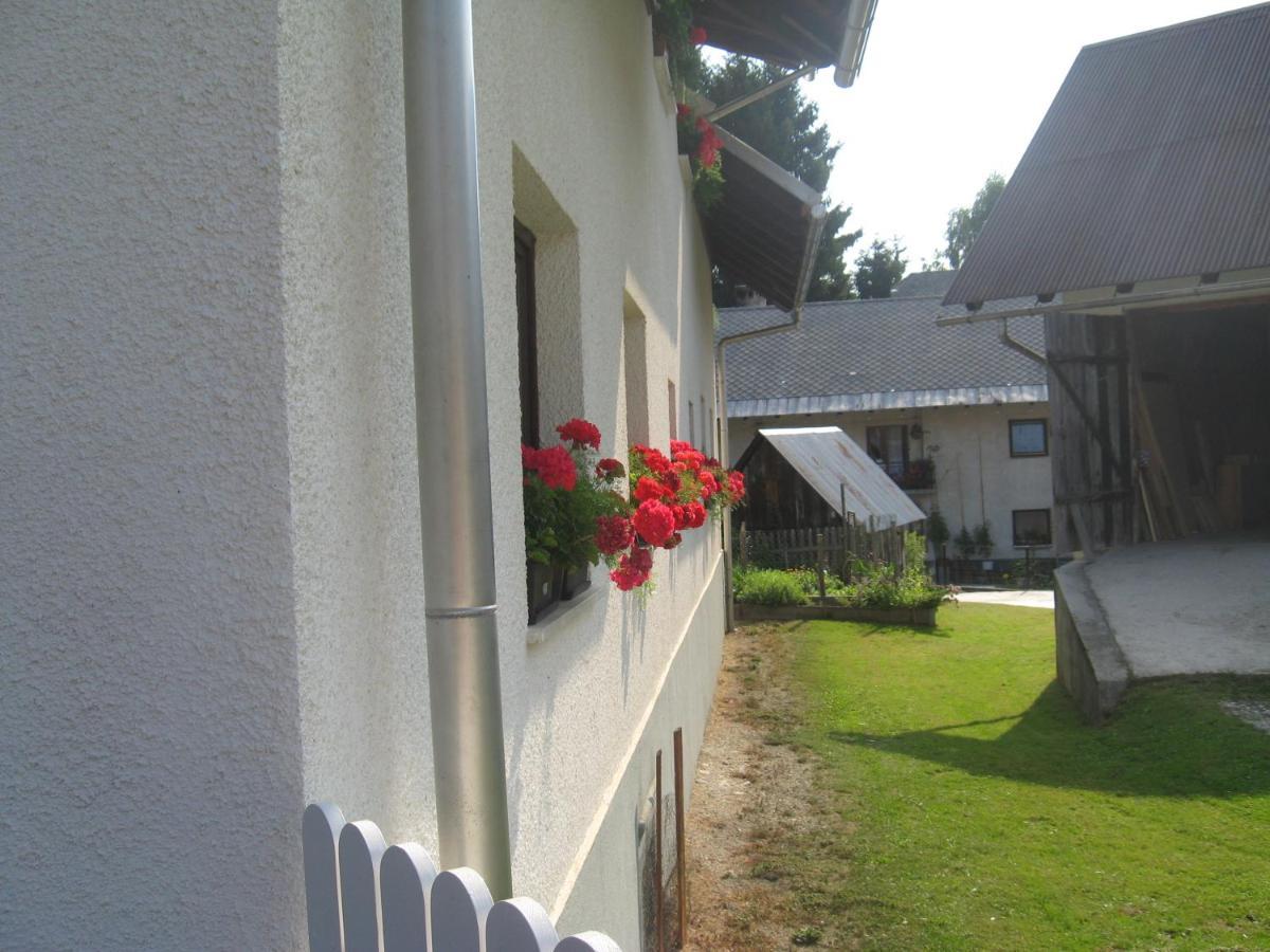 Apartma Tilika Kranjska Gora Dış mekan fotoğraf