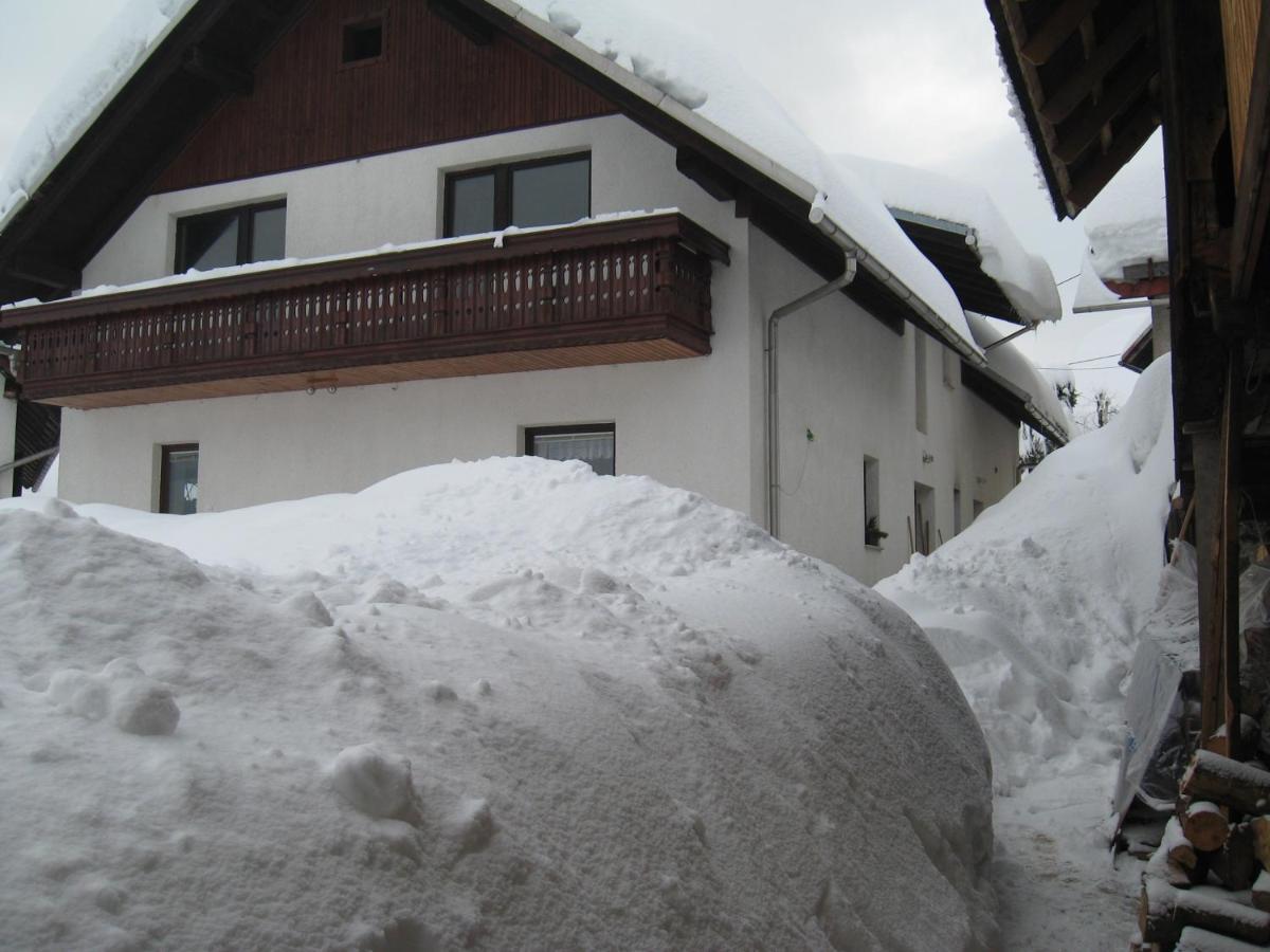 Apartma Tilika Kranjska Gora Dış mekan fotoğraf