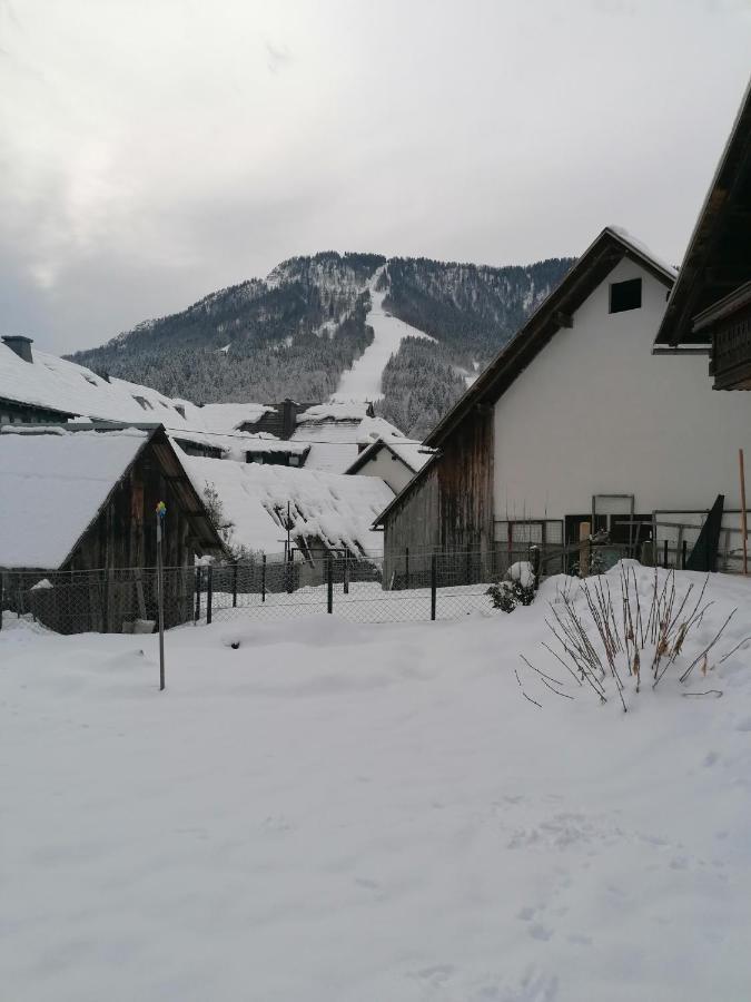 Apartma Tilika Kranjska Gora Dış mekan fotoğraf